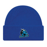 College Sainte-Anne Primaire-Tuque